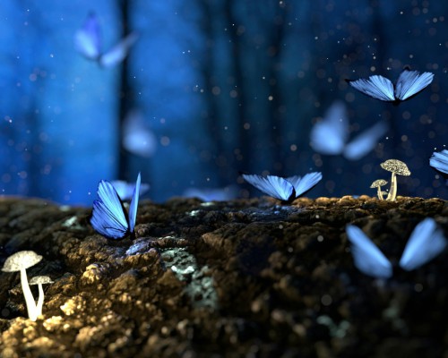 Anleitung zum Tr&auml;umen