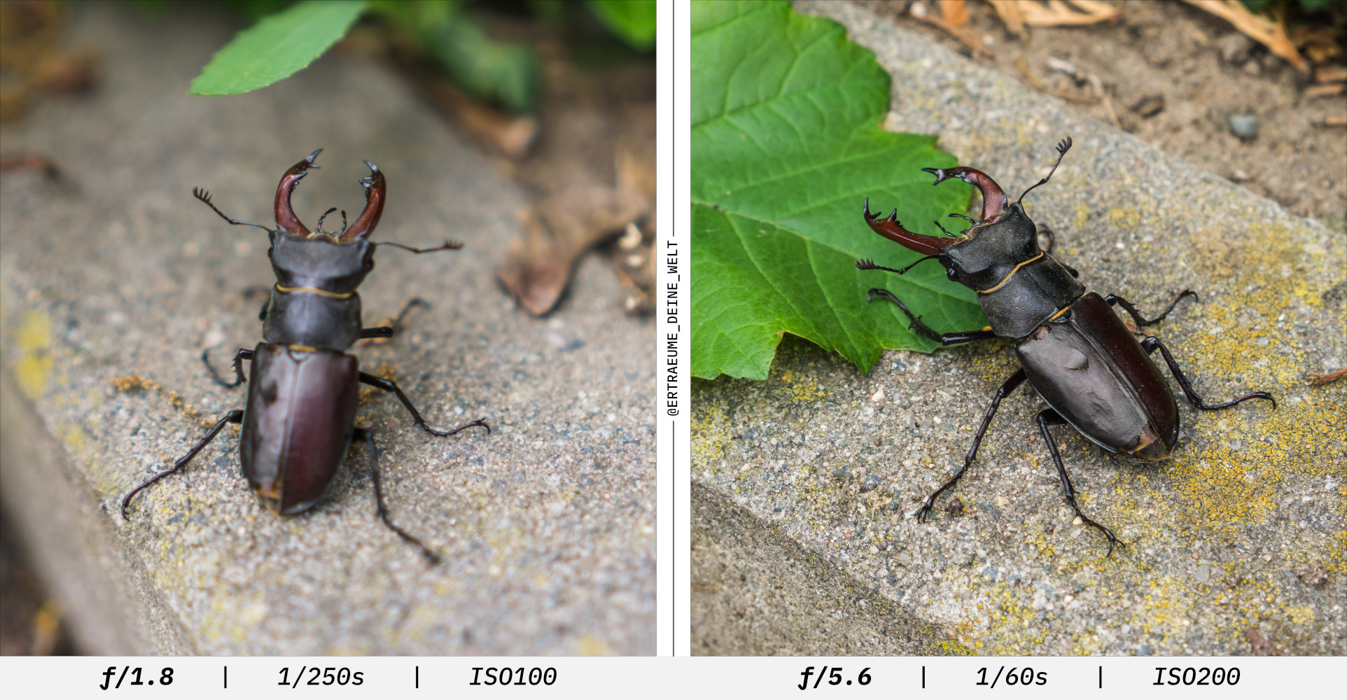 Aperture-Priority Mode