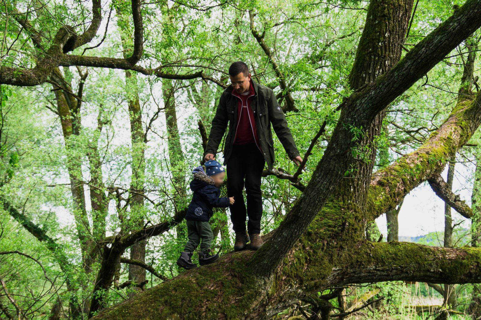 Vater und Sohn klettern auf einem Baum